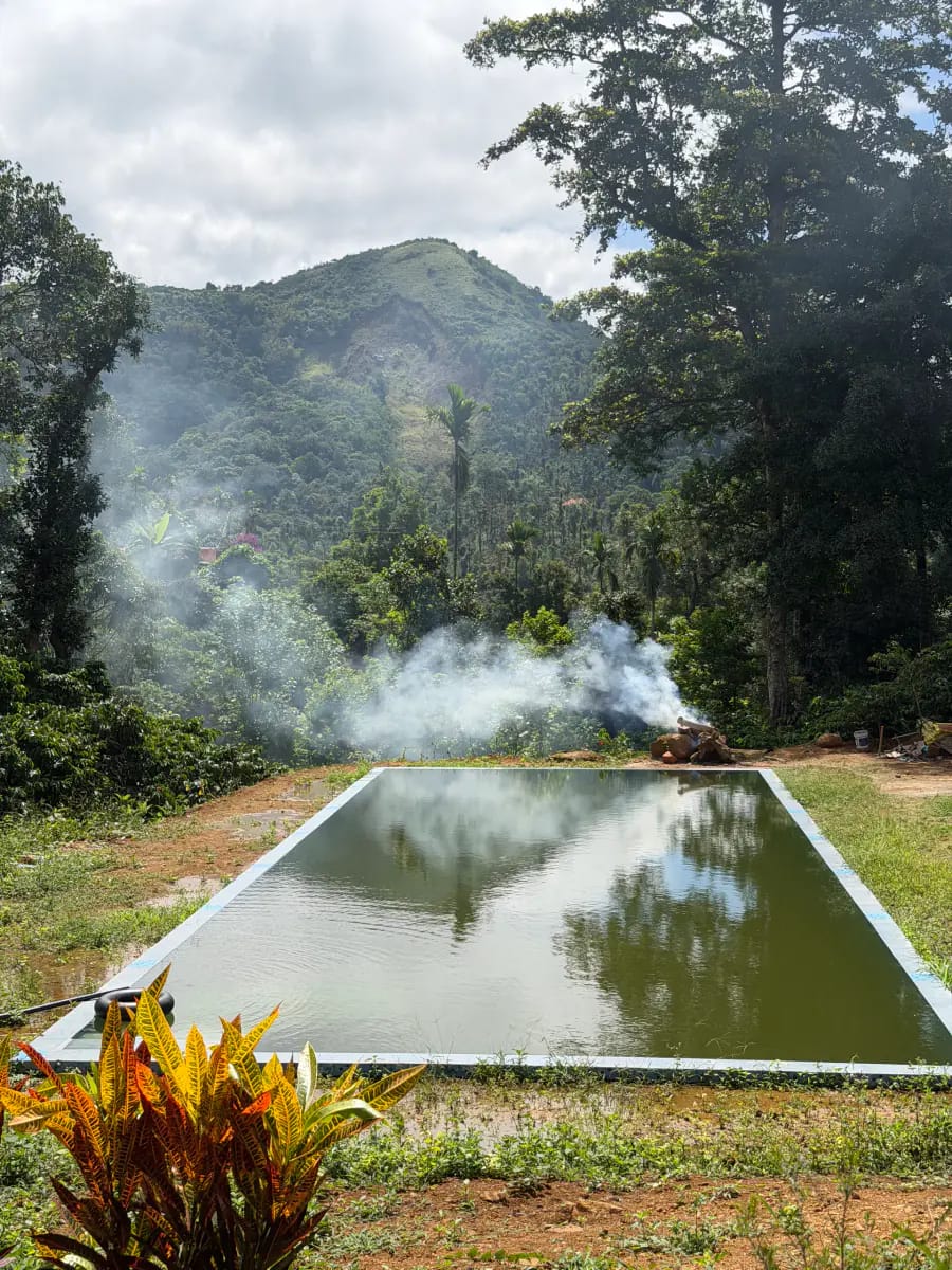 Anahata Coorg natural spring water pool